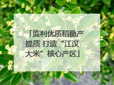 监利优质稻稳产提质 打造“江汉大米”核心产区